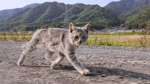 Background image for Shimane: Myths and Crafts of Izumo