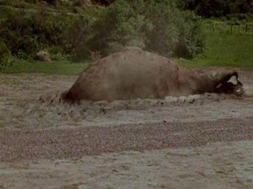 Tremors Season 1 Episode 11 - The Key
