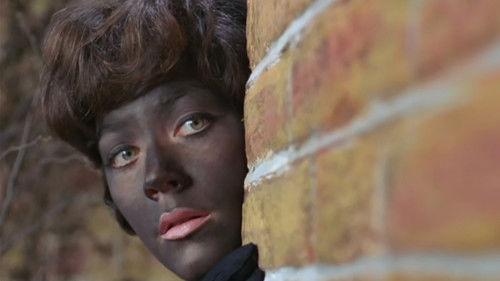 undefined Season 6 Episode 25 - Who Was That Man I Saw You with?