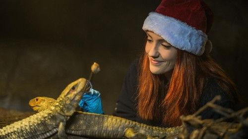 The Secret Life of the Zoo Season 4 Episode 6 - The Secret Life of the Zoo at Christmas 2017