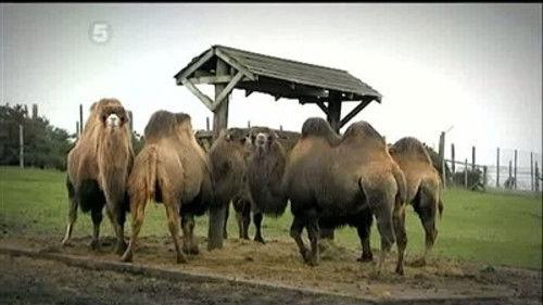 The Gadget Show Season 15 Episode 8 - Casual Gaming