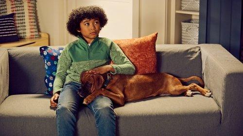 Puppy Place Season 1 Episode 7 - Jack