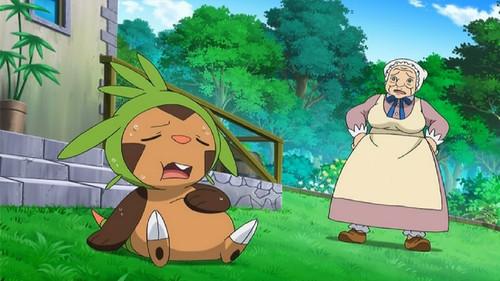 Pokémon Season 17 Episode 15 - An Appetite for Battle!