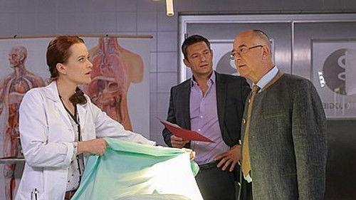 Die Rosenheim-Cops Season 17 Episode 7 - Murder with Delay