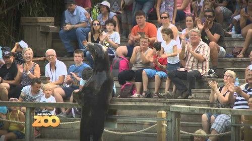 Une saison au zoo Season 4 Episode 1 - Episode 1