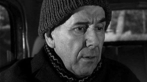 Seventeen Moments of Spring Season 1 Episode 8 - Episode 8