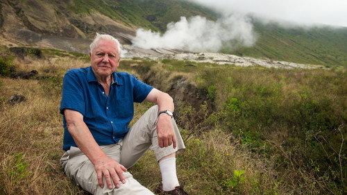 David Attenborough's Global Adventure Season 1 Episode 3 - The Rise of Nature