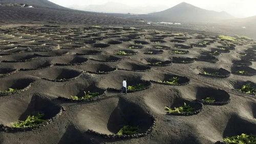 Viajeros Cuatro Season 3 Episode 7 - Episode 7