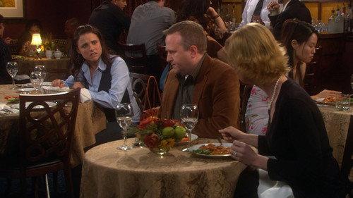The New Adventures of Old Christine Season 1 Episode 7 - Long Days Journey Into Stan