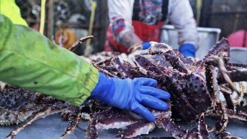 Deadliest Catch Season 12 Episode 5 - Million-Dollar-Bet