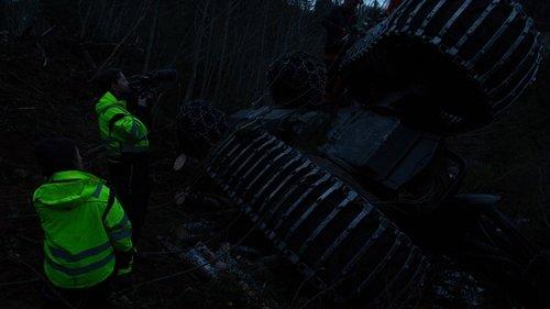 Background image for Into the Woods