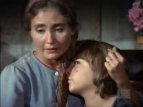 Bonanza Season 13 Episode 18 - Frenzy