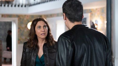 4 estrellas Season 1 Episode 23 - Episode 23
