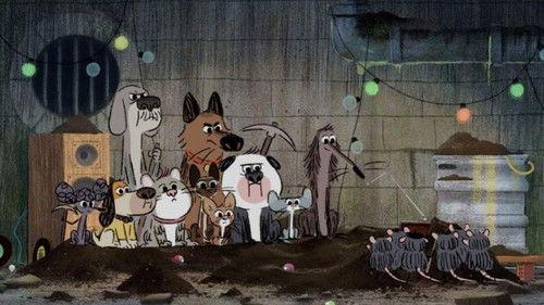 Stinky Dog Season 1 Episode 9 - Episode 9