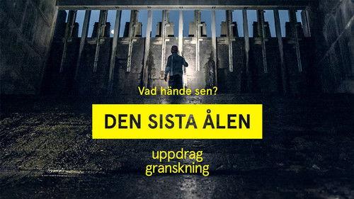 Uppdrag granskning Season 22 Episode 24 - Episode 24