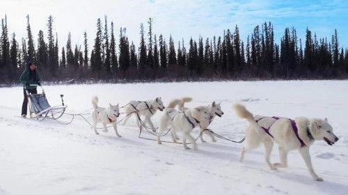 The Amazing Race Canada Season 11 Episode 4 - There's Two Joes