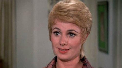 The Partridge Family Season 3 Episode 8 - A Likely Candidate
