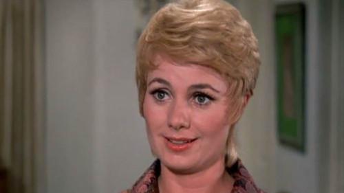 The Partridge Family Season 3 Episode 8 - A Likely Candidate