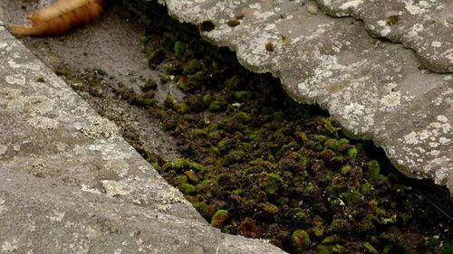 Happy Campers: The Caravan Park Season 4 Episode 7 - Episode 7