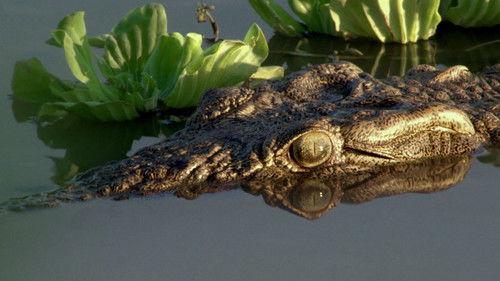 Gorongosa Park: Rebirth of Paradise Season 1 Episode 4 - Hidden Worlds