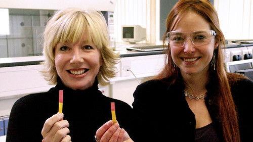 Background image for The Stomach and Intestines