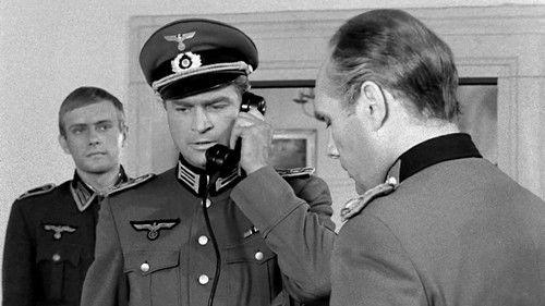 More Than Life At Stake Season 1 Episode 16 - Episode 16