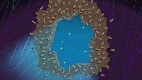 Chip 'n' Dale: Park Life Season 2 Episode 12 - The Hole Truth / The Gift / Pest Friends