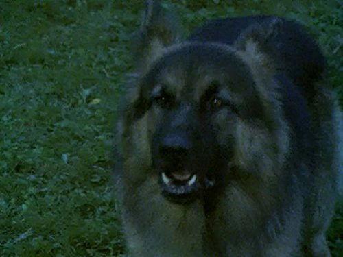 Huckleberry Finn and His Friends Season 1 Episode 18 - Meet the Grangerfords