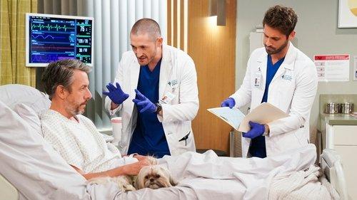 Carol's Second Act Season 1 Episode 9 - Therapy Dogs