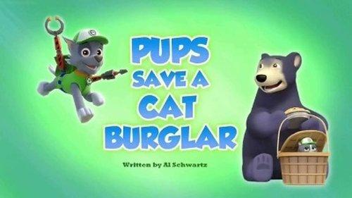 PAW Patrol Season 5 Episode 12 - Pups Save a Cat Burglar