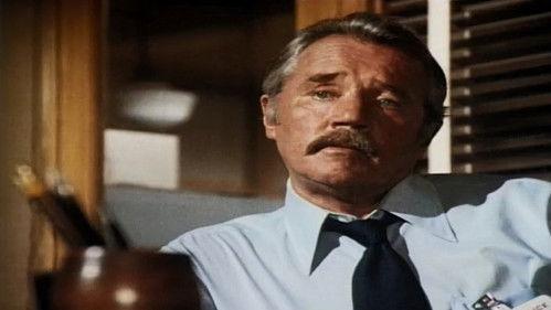 Police Story Season 3 Episode 12 - Company Man