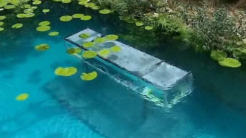 I'm a Celebrity...Get Me Out of Here! Season 9 Episode 13 - Great Barrier Grief