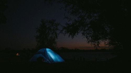 Animales en peligro Season 1 Episode 1 - Episode 1