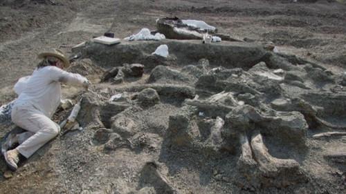 American Pickers Season 23 Episode 13 - Picks and Bones