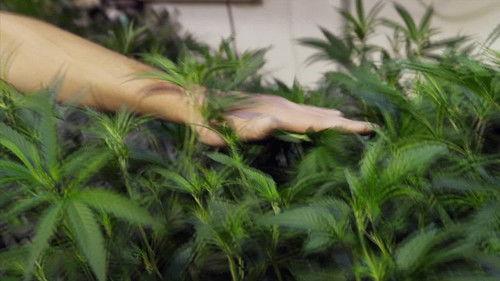 High Profits Season 1 Episode 4 - Game On