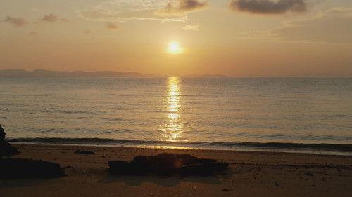 Robinson Season 24 Episode 3 - Episode 3