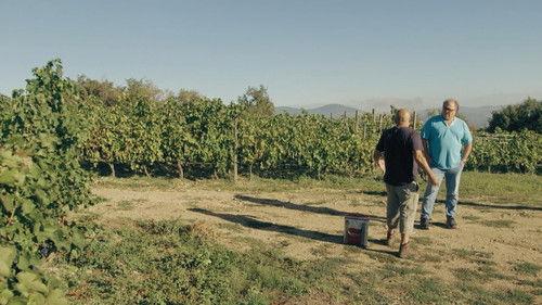 A Chef at the Shack Season 11 Episode 2 - Episode 2