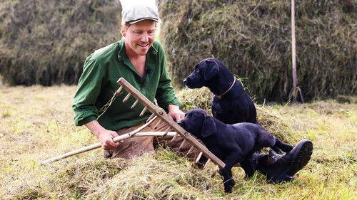 Background image for Episode 17