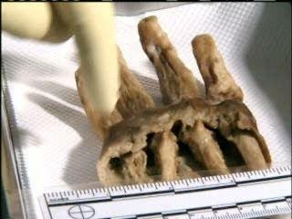 The First 48 Season 2 Episode 3 - Hostile Takeover/Shot in the Back