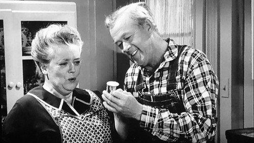 undefined Season 5 Episode 27 - Aunt Bee's Invisible Beau
