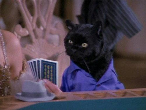 Sabrina, the Teenage Witch Season 3 Episode 7 - You Bet Your Family
