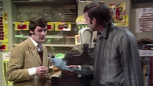 Monty Python's Flying Circus Season 1 Episode 8 - Full Frontal Nudity