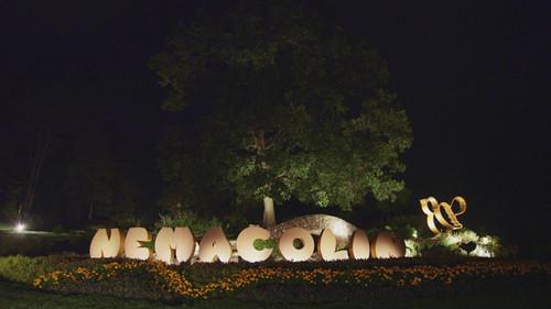 The Real Housewives of Potomac Season 3 Episode 8 - That's Scentertainment