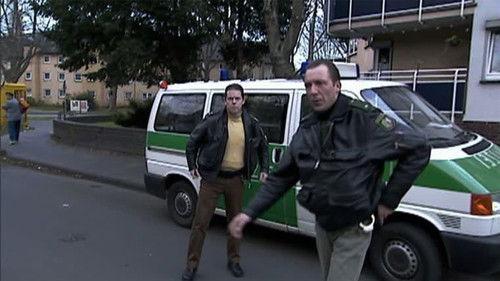 Toto & Harry Season 2 Episode 13 - Episode 13