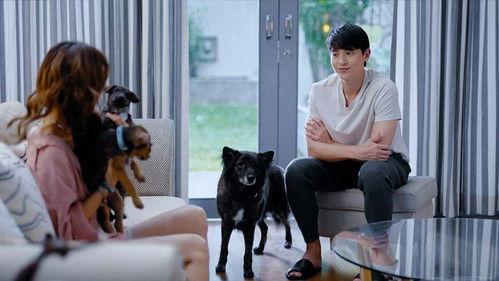 To the Moon and Back Season 1 Episode 5 - Episode 5