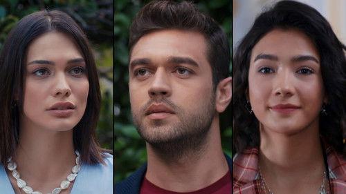 You Are Everywhere Season 1 Episode 16 - I Can't Stand It