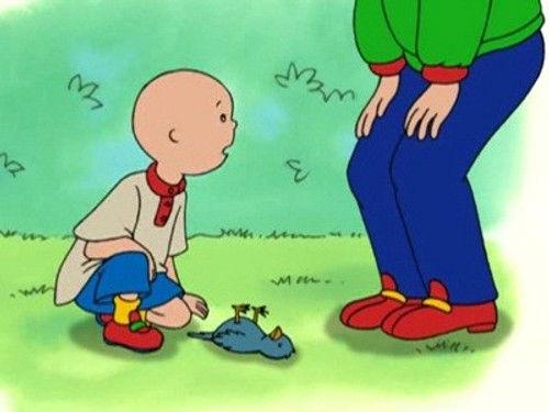 Caillou Season 1 Episode 48 - Caillou's Getting Older!