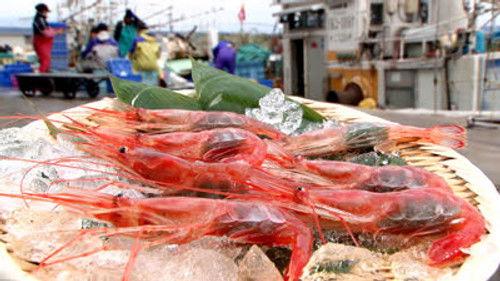 Trails to Tsukiji Season 5 Episode 5 - Ama-Ebi