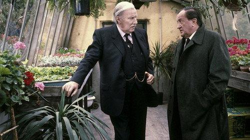 The Old Fox Season 5 Episode 7 - Episode 7