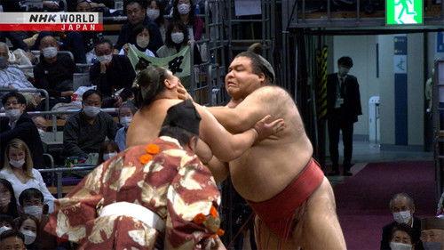 GRAND SUMO Highlights Season 14 Episode 6 - Day 6